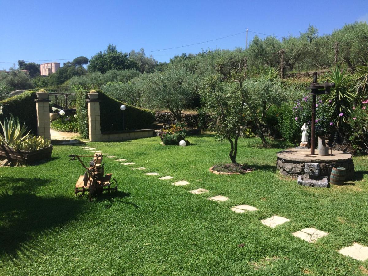 B&B Etna Ranch Piedimonte Etneo Exteriér fotografie