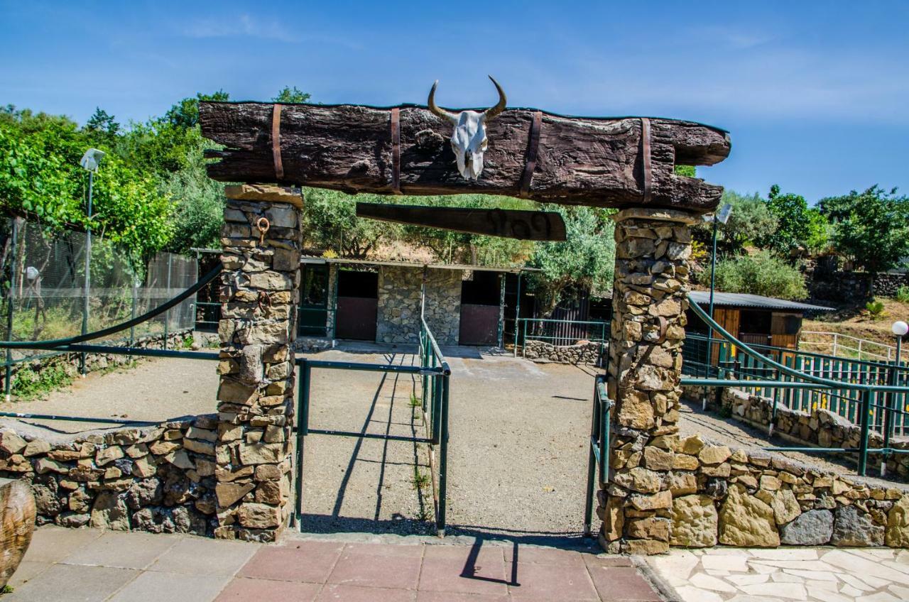 B&B Etna Ranch Piedimonte Etneo Exteriér fotografie